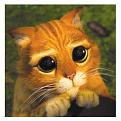 Click image for larger version

Name:	il-gatto-con-gli-stivali-5.jpg
Views:	166
Size:	31.0 KB
ID:	15955705