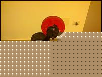Click image for larger version

Name:	IMG_20140311_212757.jpg
Views:	179
Size:	1.38 MB
ID:	15956302