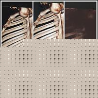 Click image for larger version

Name:	257142_516749_img_2137.0.jpg
Views:	278
Size:	92.1 KB
ID:	15959923