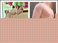 Click image for larger version

Name:	PicsArt_1438947347190.jpg
Views:	169
Size:	297.4 KB
ID:	15960260