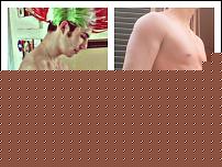 Click image for larger version

Name:	im8mzl.jpg
Views:	1709
Size:	211.6 KB
ID:	15960261