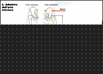 Click image for larger version

Name:	artiinf.jpg
Views:	128
Size:	26.0 KB
ID:	15960436