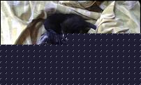 Click image for larger version

Name:	20150912_111339.jpg
Views:	441
Size:	1.27 MB
ID:	15960485