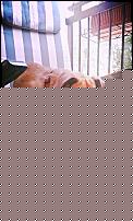 Click image for larger version

Name:	IMG-20150918-WA0002.jpg
Views:	493
Size:	54.4 KB
ID:	15960528