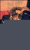 Click image for larger version

Name:	IMG-20150918-WA0001.jpg
Views:	831
Size:	54.3 KB
ID:	15960530