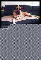 Click image for larger version

Name:	IMG_4779.JPG
Views:	1349
Size:	249.8 KB
ID:	15960668