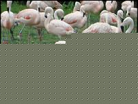 Click image for larger version

Name:	DSC04165.JPG
Views:	121
Size:	133.2 KB
ID:	15963541