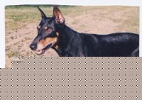Click image for larger version

Name:	liza.jpg
Views:	365
Size:	41.0 KB
ID:	15964836