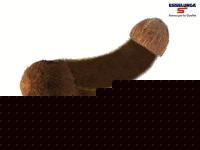 Click image for larger version

Name:	cocco siffredi.jpg
Views:	3177
Size:	28.1 KB
ID:	15964919