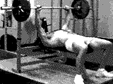 Click image for larger version

Name:	bbbenchpress.gif
Views:	165
Size:	22.8 KB
ID:	15965034
