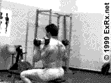 Click image for larger version

Name:	dbshoulderpress.gif
Views:	582
Size:	24.5 KB
ID:	15965294