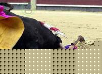 Click image for larger version

Name:	toreroole.jpg
Views:	113
Size:	32.8 KB
ID:	15965392