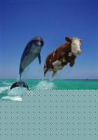 Click image for larger version

Name:	618.jpg
Views:	514
Size:	36.1 KB
ID:	15965407