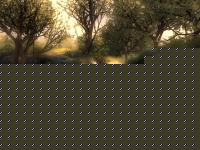 Click image for larger version

Name:	1044928685ymtd7lnuhm_3_4_l.jpg
Views:	77
Size:	91.0 KB
ID:	15965444