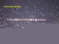 Click image for larger version

Name:	risiko.jpg
Views:	103
Size:	71.5 KB
ID:	15965486