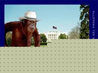 Click image for larger version

Name:	pierbush.jpg
Views:	707
Size:	78.2 KB
ID:	15965579