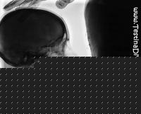 Click image for larger version

Name:	radiografia.jpg
Views:	278
Size:	41.8 KB
ID:	15965601