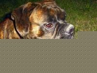Click image for larger version

Name:	bingonebellookcolore.jpg
Views:	1186
Size:	496.9 KB
ID:	15965816