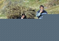 Click image for larger version

Name:	veroamore.jpg
Views:	194
Size:	36.0 KB
ID:	15965823