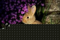 Click image for larger version

Name:	13407_poster405.jpg
Views:	663
Size:	24.5 KB
ID:	15965824