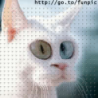 Click image for larger version

Name:	ot1058.jpg
Views:	106
Size:	9.3 KB
ID:	15965911