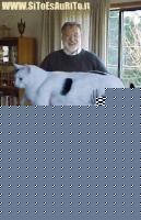 Click image for larger version

Name:	varie_gattino.jpg
Views:	791
Size:	39.2 KB
ID:	15965953