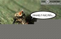 Click image for larger version

Name:	amore.jpg
Views:	209
Size:	25.3 KB
ID:	15965963