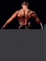 Click image for larger version

Name:	yat4.jpg
Views:	160
Size:	19.8 KB
ID:	15966164