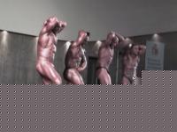 Click image for larger version

Name:	Fitness Festival Catania 2004 073.jpg
Views:	203
Size:	67.3 KB
ID:	15966284