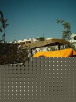 Click image for larger version

Name:	toro1.JPG
Views:	404
Size:	57.8 KB
ID:	15966433