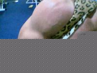 Click image for larger version

Name:	Foto(35).jpg
Views:	141
Size:	36.1 KB
ID:	15966519