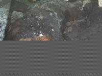Click image for larger version

Name:	nuovo-13.JPG
Views:	158
Size:	15.9 KB
ID:	15966590