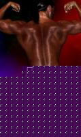 Click image for larger version

Name:	glutei.JPG
Views:	196
Size:	12.2 KB
ID:	15966613