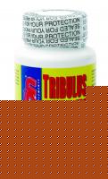 Click image for larger version

Name:	tribulus3.jpg
Views:	1282
Size:	91.8 KB
ID:	15966850