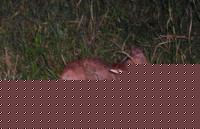 Click image for larger version

Name:	Senza nome.jpg
Views:	314
Size:	57.7 KB
ID:	15966960