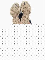 Click image for larger version

Name:	scarpe.jpg
Views:	463
Size:	15.6 KB
ID:	15966972