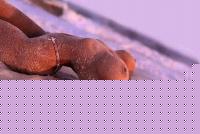 Click image for larger version

Name:	senza titolo3.jpg
Views:	498
Size:	70.3 KB
ID:	15966991