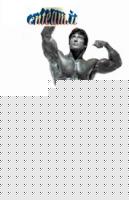 Click image for larger version

Name:	Frank__Zane%20copia.jpg
Views:	179
Size:	16.5 KB
ID:	15967026