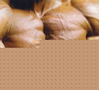 Click image for larger version

Name:	pettorali3.JPG
Views:	6704
Size:	90.5 KB
ID:	15967337