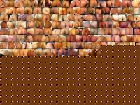 Click image for larger version

Name:	mimetismo.jpg
Views:	133
Size:	99.1 KB
ID:	15967354