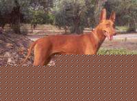 Click image for larger version

Name:	1.jpg
Views:	111
Size:	23.3 KB
ID:	15967508