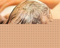Click image for larger version

Name:	parton.jpg
Views:	178
Size:	42.8 KB
ID:	15967560