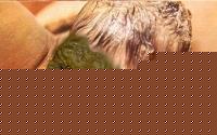 Click image for larger version

Name:	parton2.jpg
Views:	179
Size:	28.1 KB
ID:	15967561