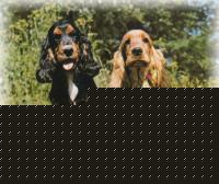 Click image for larger version

Name:	10.jpg
Views:	84
Size:	53.0 KB
ID:	15967576