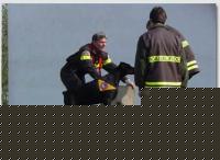 Click image for larger version

Name:	12.jpg
Views:	78
Size:	31.3 KB
ID:	15967578