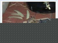 Click image for larger version

Name:	Topo2.jpg
Views:	94
Size:	32.8 KB
ID:	15967721