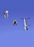 Click image for larger version

Name:	image0055.jpg
Views:	97
Size:	26.1 KB
ID:	15967886