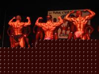 Click image for larger version

Name:	IMG_0582 (600 x 450).jpg
Views:	274
Size:	62.9 KB
ID:	15967928