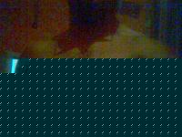 Click image for larger version

Name:	09-07-05_2146.jpg
Views:	95
Size:	41.1 KB
ID:	15968262