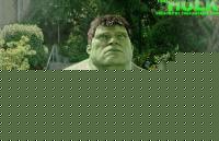 Click image for larger version

Name:	020.JPG
Views:	92
Size:	36.7 KB
ID:	15968376